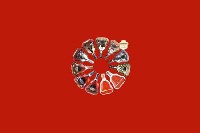 依兰回收红酒